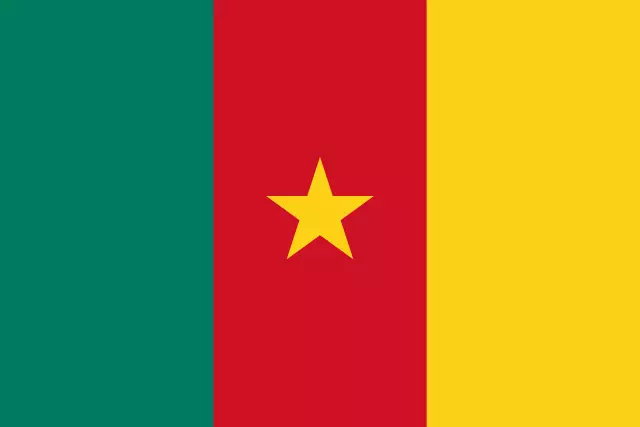 Flag of Cameroon