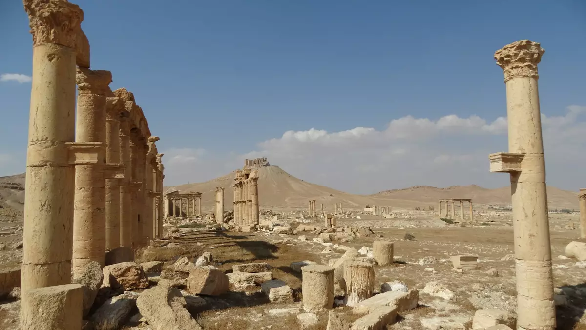 Palmyra