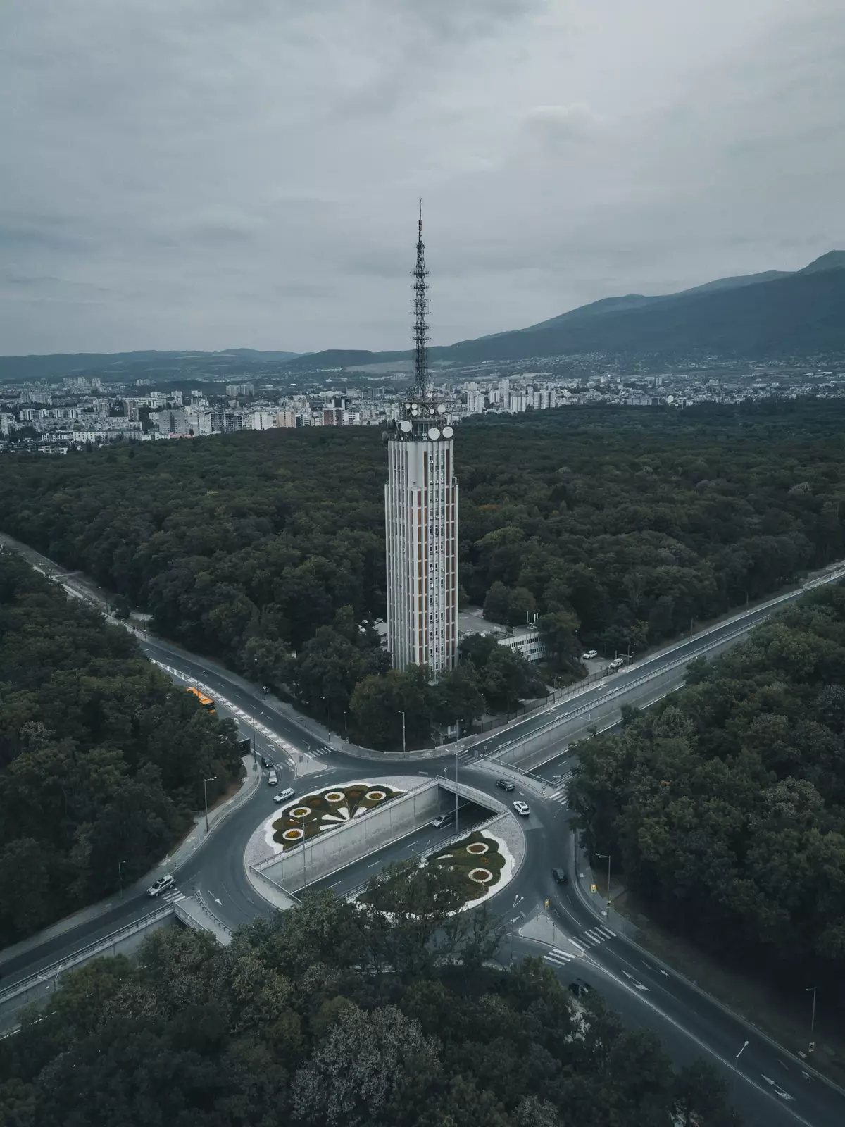 Sofia