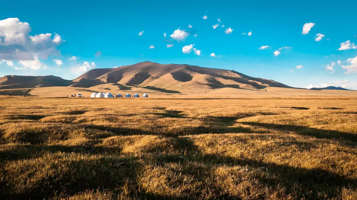 Naryn region