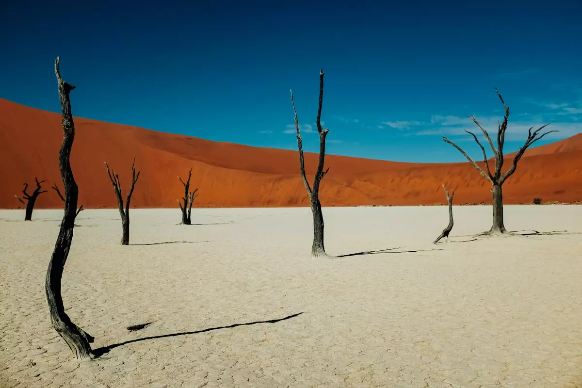 Deadvlei, Sossusvlei