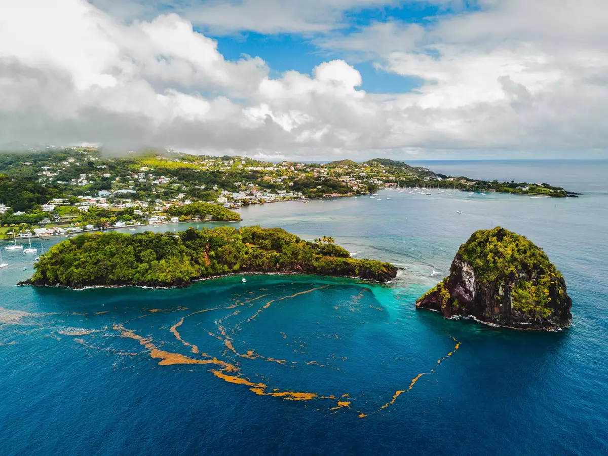 Young Island