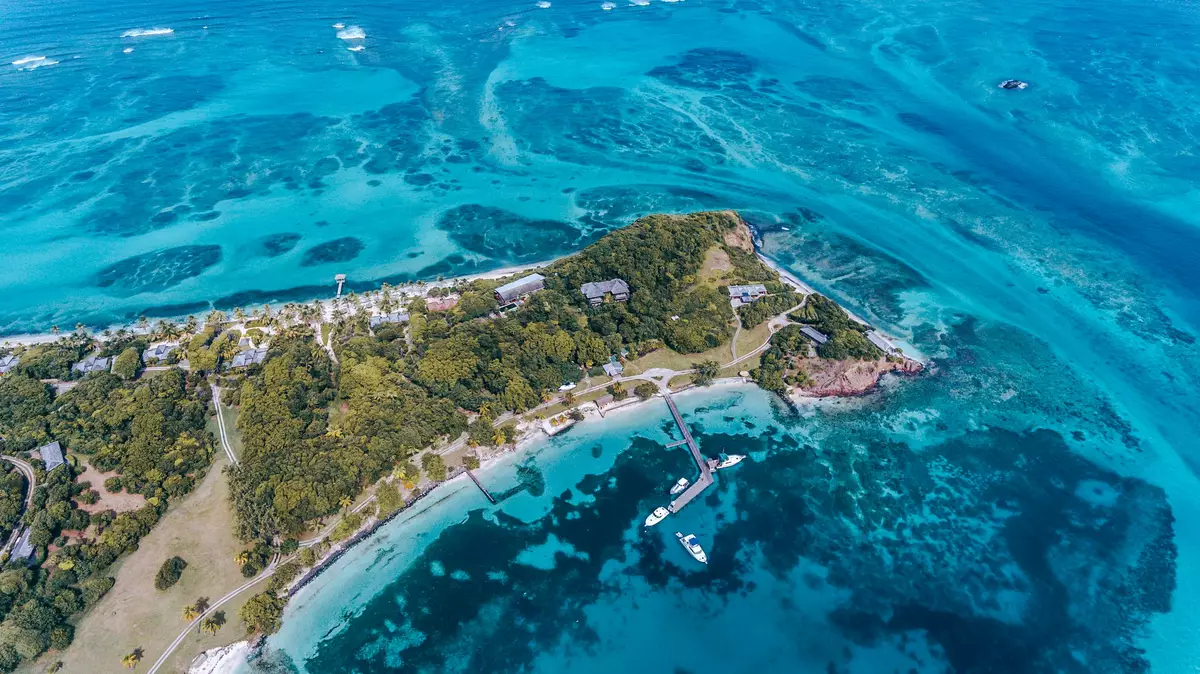 Petit Saint Vincent
