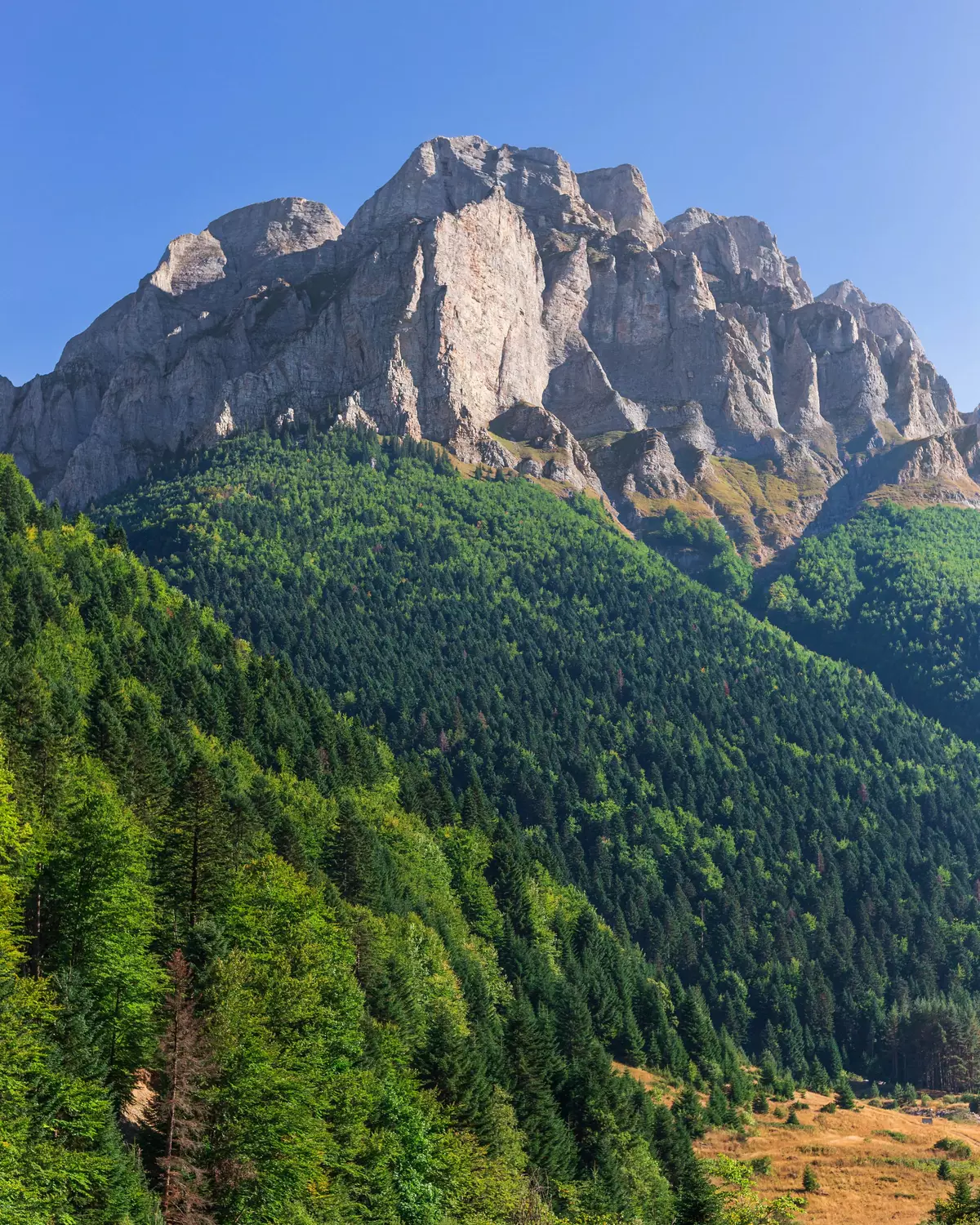 Sharr Mountains