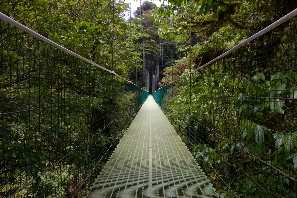 Selvatura, Guanacaste Province