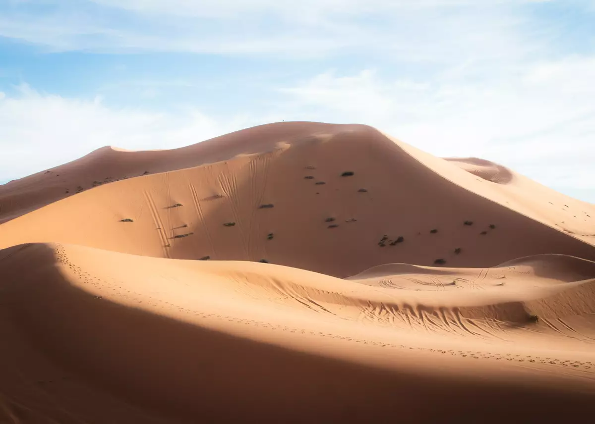 Sahara desert