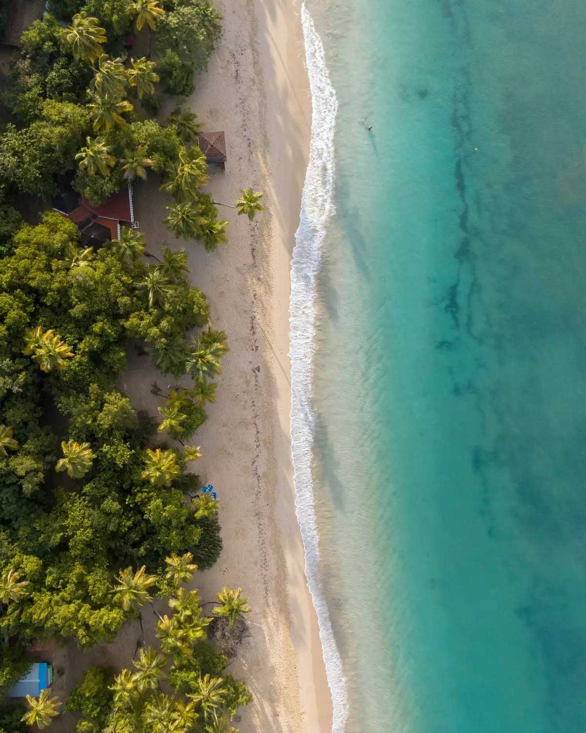 Martinique beach