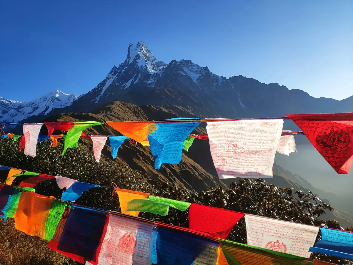 Mardi Base Camp