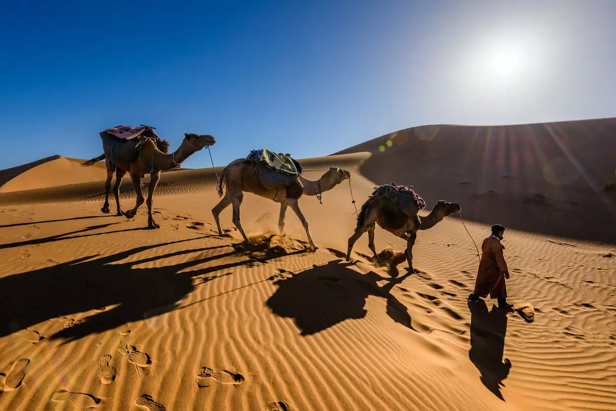 Sahara desert